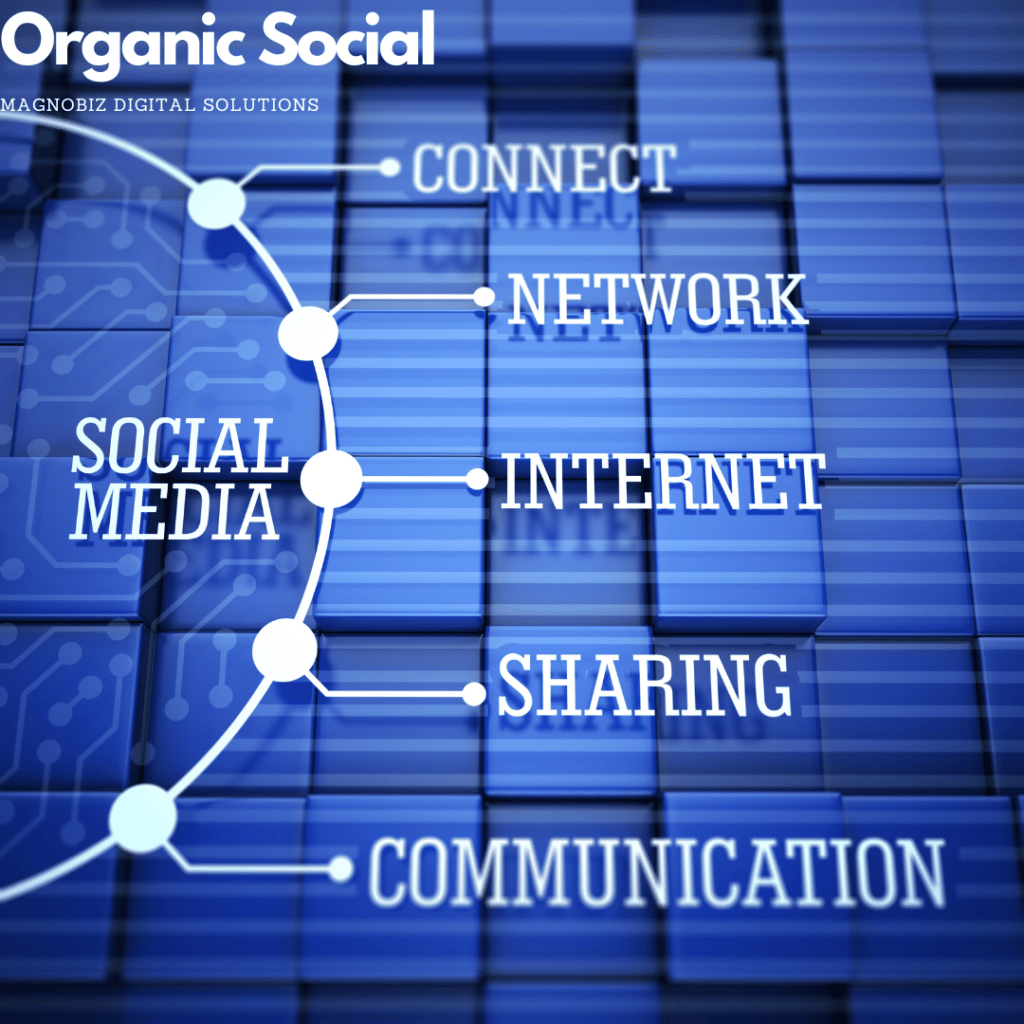 Social Organic | MagnoBiz